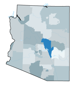 Gila region